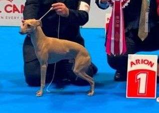 Libero E Bello Dei Raggi Di Luna