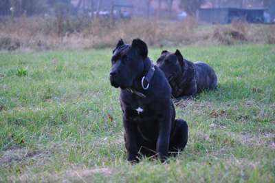 RUBY DE JOSE EL RUBIO