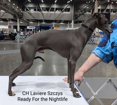 Laviere Szczy Ready for the Nightlife