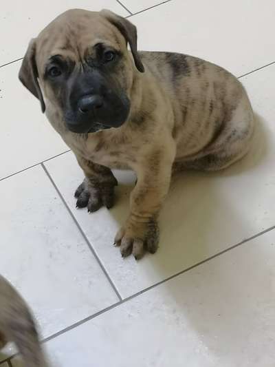DENZEL DE LOS TRES NINOS
