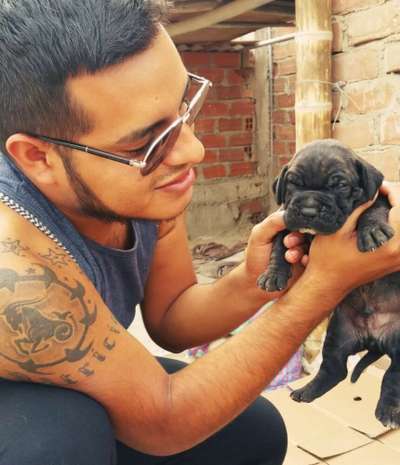 ASGARD DEL REY CHOCOBULL'S