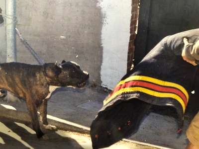 URCO DE KING ZULU