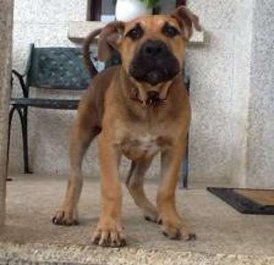NALA DE KING ZULU