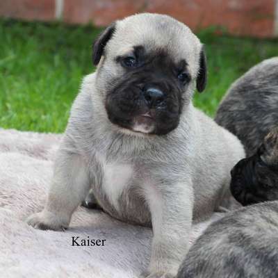 DIAMANTE RAYAS KAISER