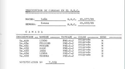 PELIGRO DE LOS ENANOS