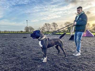 JUMBO DE SEVERN KENNELS