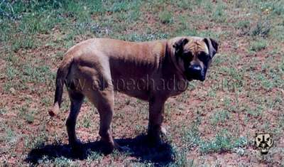 YUMA DE ELS PECHADOS