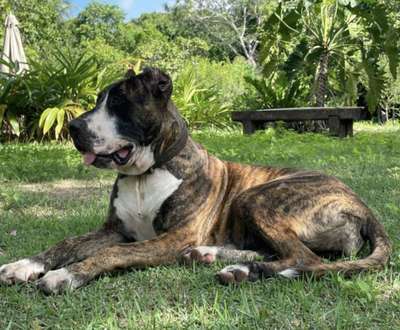 LOBA DE SANTA MORTE