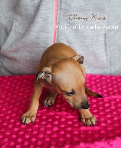 Chasing Kisses You´re Unbelievable