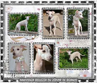 Innocenza Belleza Du Zephyr De Bizance