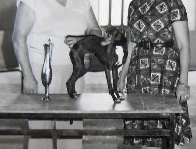 Japhet De La Grande Palle