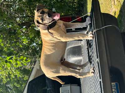 ONLY THE FAMILY KENNELS RAID