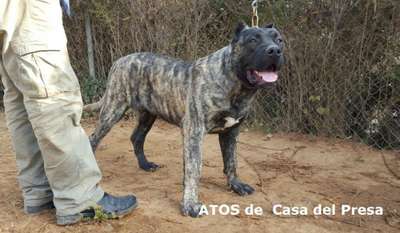 ATOS DE CASA DEL PRESA