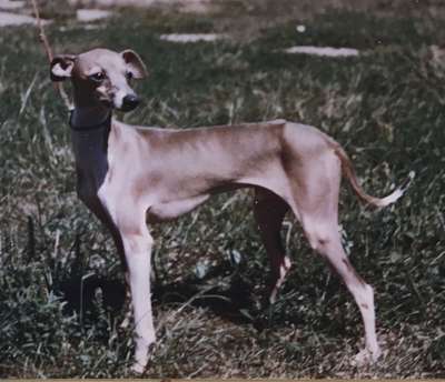Paolo Of Chelstoncross