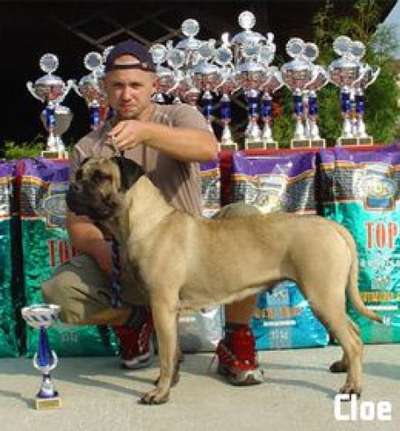 CLOE DOGMA'S