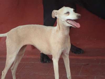 Florencia Pequeño Hogar