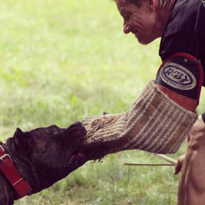 BEARCLAWS DUTCHES (OTF KENNELS DUTCHES)