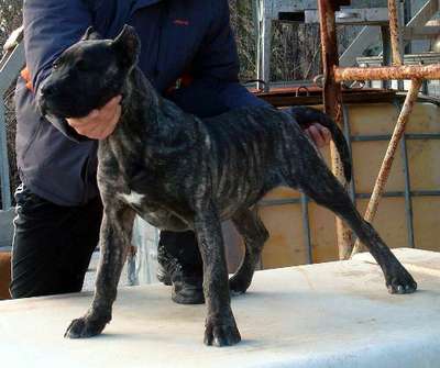ATHOS DE LOS BALCANES