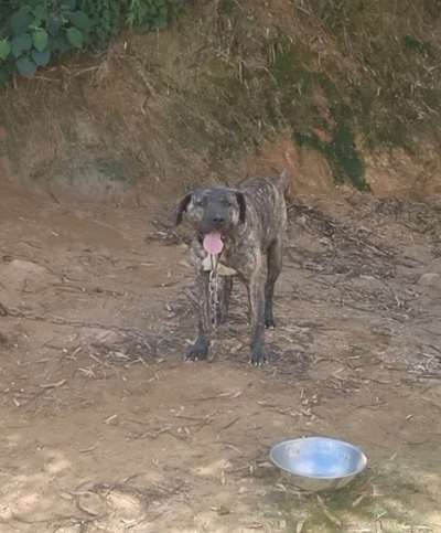 ZAYA DE RUSTICO