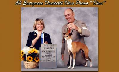 Evergreen's Donicetti DivoPrima