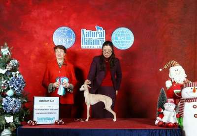 House of Hounds Renesmee