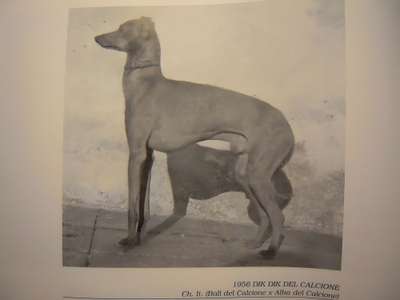Dik Dik Del Calcione