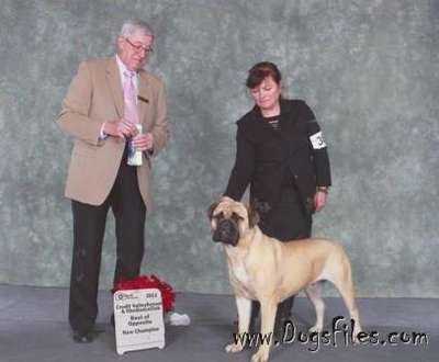 KNATCHBULL'S AFAIR OF THE HEART
