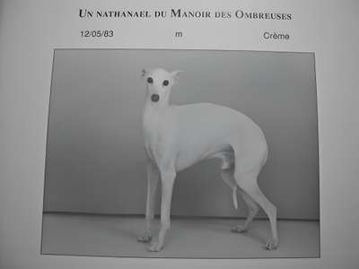 Un Nathanael Du Manoir Des Ombreuses