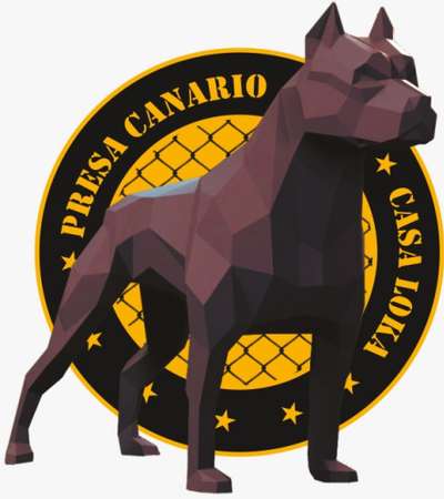 GIPSY DE CASA CAMARINHA