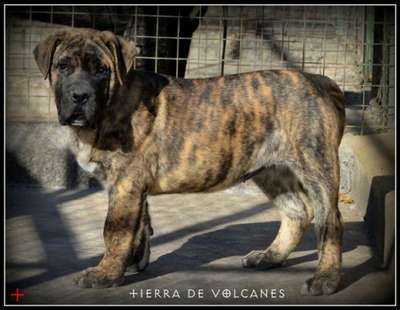 MARUKA DE TIERRA DE VOLCANES