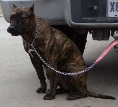 KINGDOM'S ROXY