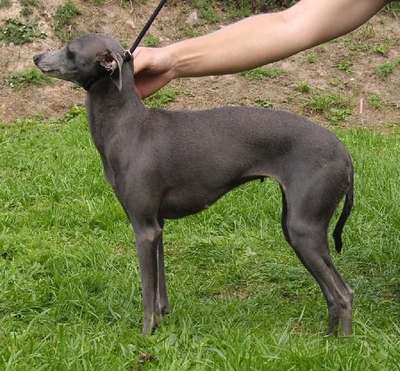 Beautiful Girl Upnani De Magistris