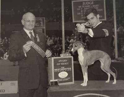 Honore's Answr'D Prayer-A Bravehound