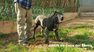 ARON DE CASA DEL PRESA