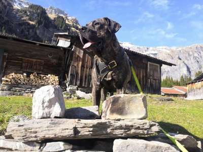 INAYA DE LA HUELLA DEL PRESA CANARIO