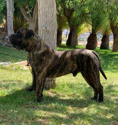 MAX DE HORNOS DE CAL