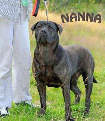 HAUGMO'S NANNA
