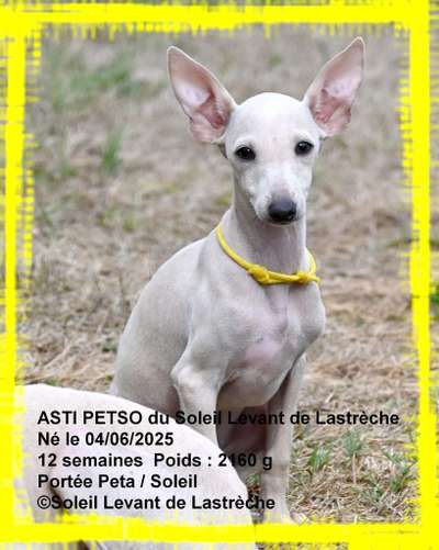 Asti Petso Du Soleil Levant De Lastrèche