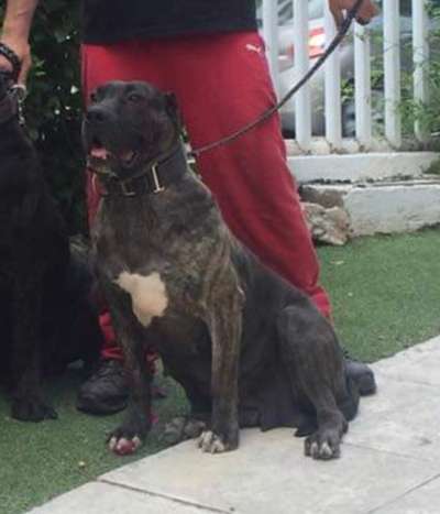 JIMENA DE KING ZULU