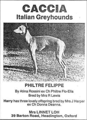 Philtre Felippe