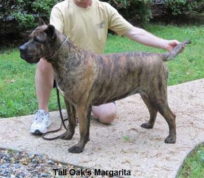 TALL OAK'S MARGARITA