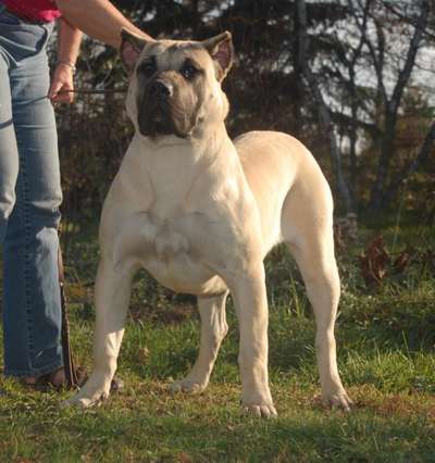 D&G'S GEORGIA