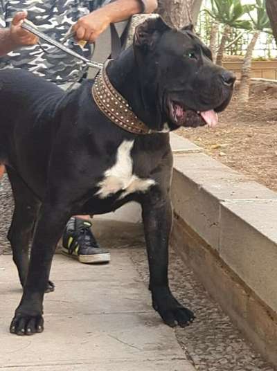 KIARA DE ANAGA