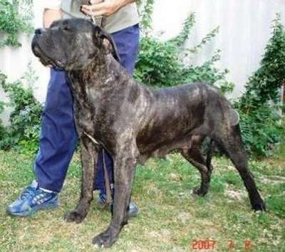SZEPESMENTI HARAGOS DORISZ