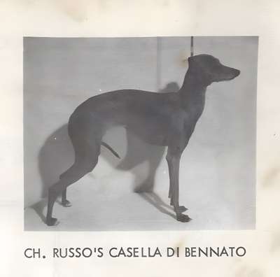 Russo's Casella Di Bennato