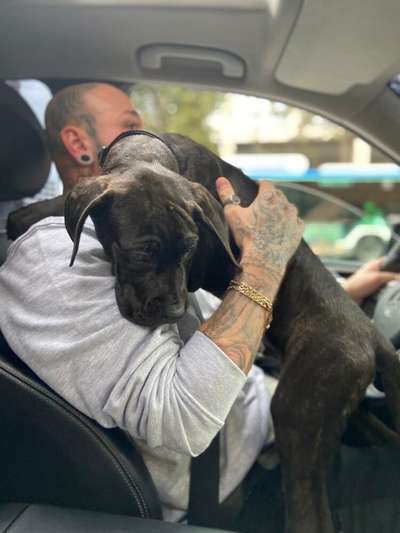ARES DE BLACKSTONE