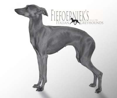 Fiefoerniek's Faithless Woman