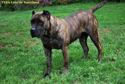 LUTA XANTI LAND