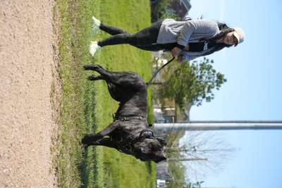 ZOEY DE PRESA FARMS