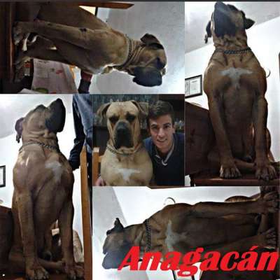 RAYO DE ANAGACAN